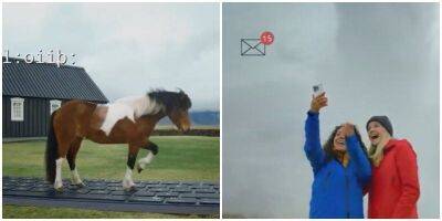 В Исландии лошади теперь отвечают на письма людей - mur.tv - Исландия