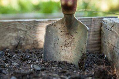 Как превратить тяжелый грунт в мягкую и легкую почву: советы начинающим огородникам - sadogorod.club