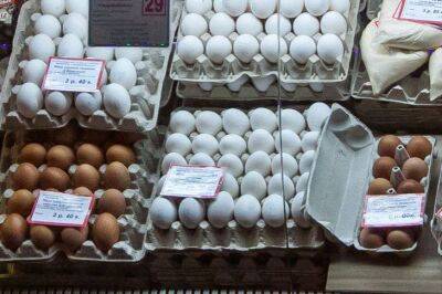 Игорь Зур - Как не ошибиться при выборе куриных яиц в магазине: советы опытных хозяек - lifehelper.one