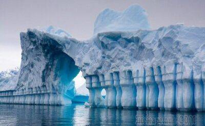 20 невероятных фактов об Антарктиде, которые знают немногие - fokus-vnimaniya.com - Сша - Германия - Австралия - Антарктида