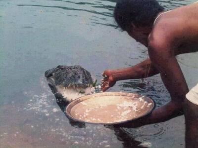Крокодилица 70 лет прожила в пруду при храме и полностью изменила рацион питания - porosenka.net - Индия