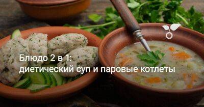 Блюдо 2 в 1: диетический суп и паровые котлеты - sadogorod.club