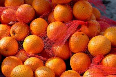 Антон Курчев - Не выбрасывайте сетку, в которой продаются апельсины: она пригодится во время мытья посуды - belnovosti.by