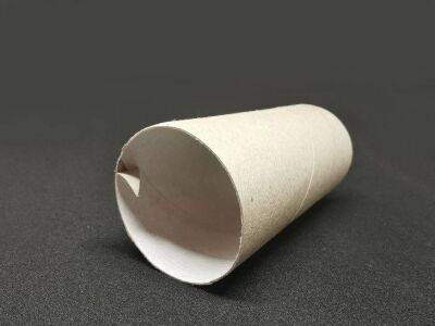 Антон Курчев - Как втулка от туалетной бумаги может упростить уборку: лайфхак при использовании пылесоса - lifehelper.one