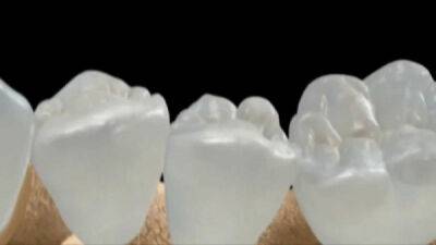 Исследователи нашли средство, которое позволяет вырастить новые зубы - porosenka.net