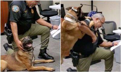 Полицейский пёс не мог скрыть эмоций на своей присяге - chert-poberi.ru - Сша - штат Джорджия