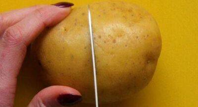 Простейший способ очистить вареную картошку, о котором мало кто знает - lifehelper.one