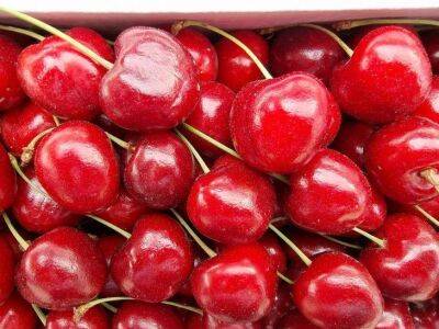 Игорь Зур - Назван способ выбрать вкусную черешню: какие ягоды не стоит покупать - lifehelper.one