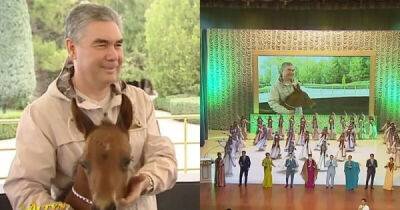 Знаменитости - Президент Туркменистана обрадовался рождению жеребенка и написал новый хит - porosenka.net - Туркмения