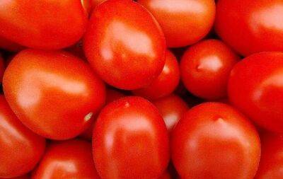 Рецепт вяленых томатов: пикантная итальянская закуска к столу - sadogorod.club