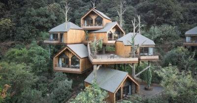 В Китае построили волшебный отель из домиков на деревьях - porosenka.net - Китай