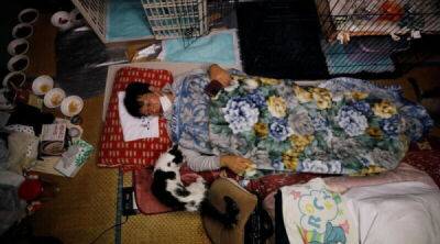 Японец остался жить рядом с "Фукусимой" ради чужих кошек - porosenka.net - Россия - Япония