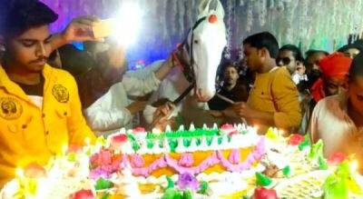 Мужчина устроил пышный день рождения для своей лошади - porosenka.net - Индия