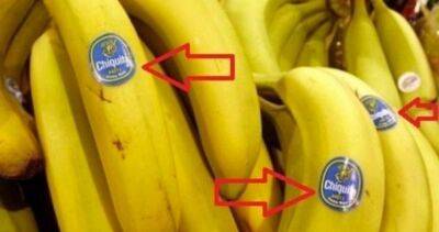 ​Что означают наклейки на бананах - polsov.com