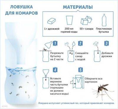 ​Безопасная ловушка для комаров - polsov.com