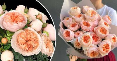 Дэвид Остин - Почему в США цветы стоят очень дешево, а у нас это прибыльный бизнес - takprosto.cc - Сша - Англия - Япония