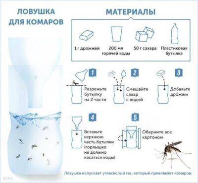 ​Безопасная ловушка для комаров - lifehelper.one