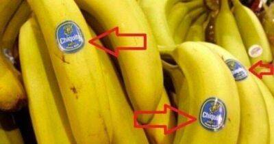 ​Что означают наклейки на бананах - lifehelper.one