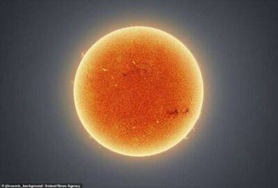 Астрофотограф сделал невероятно четкие фотографии Солнца - chert-poberi.ru - штат Аризона