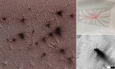 Ученые объяснили происхождение марсианских пауков - porosenka.net