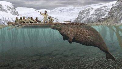 Витус Беринг - Морская корова. Какое животное истребили через 27 лет после его открытия? - lifehelper.one - штат Аляска
