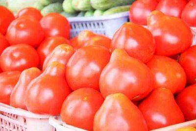 Эти 3 подкормки помидоры обожают после высадки: урожай будете давать соседям - sadogorod.club