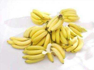 Почему нельзя хранить бананы гроздью - milayaya.ru