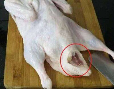 Что нужно удалить у утки, чтобы блюдо не приобрело специфический запах: кулинарный секрет - lublusebya.ru