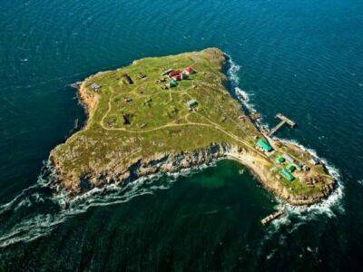 Остров Змeиный: как он выглядит и чем он так ценен? - chert-poberi.ru