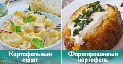 Польские блюда из картошки, которые спасали хозяек в трудные военные времена - lifehelper.one