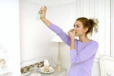 Как избавиться от запаха старости в квартире - lifehelper.one - Франция