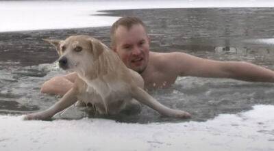 Журналист бросился в ледяную воду и спас собаку из проруби - porosenka.net - Бразилия