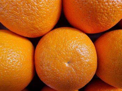 Не выбрасывайте кожуру от мандаринов и апельсинов: в каких случаях она может быть полезна в быту - lifehelper.one
