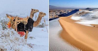 Пустыня Сахара покрылась льдом, а в Саудовской Аравии выпал снег - porosenka.net - Саудовская Аравия - Алжир