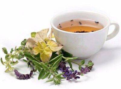 ​Травяные, цветочные и ягодные чаи: когда их пить и чем они полезны - lifehelper.one