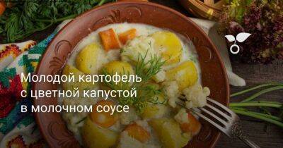 Молодой картофель с цветной капустой в молочном соусе - sadogorod.club