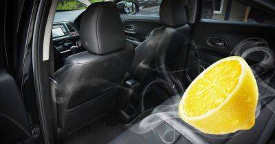 Молодые водители не понимают, зачем опытные автомобилисты возят в машине лимон - lifehelper.one