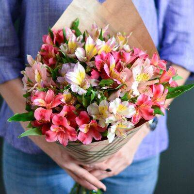 Цветы альстромерия: почему так популярны и как заказать букет цветов - ladyspages.com