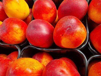 Игорь Зур - Как выбрать самые вкусные персики: фермеры назвали один безотказный признак - lifehelper.one