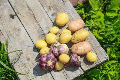Игорь Зур - Назван самый быстрый способ чистки молодого картофеля: всего за 5 минут и даже очень мелкий - lifehelper.one