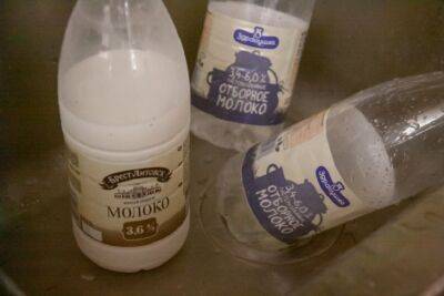Деревенская хитрость, чтобы молоко долго хранилось и не скисало: все дело в одном ингредиенте, но это не соль - belnovosti.by