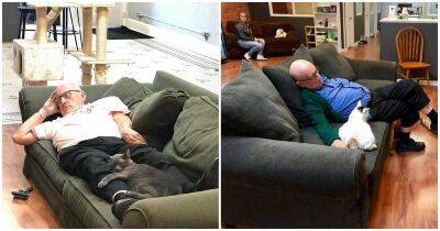 История большого сердца: дедушка покорил интернет тем, что засыпает с кошками в местном приюте - cpykami.ru - Сша - штат Висконсин
