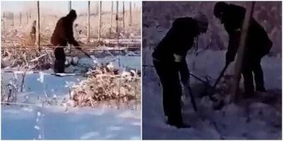 В Самарской области рабочих вывели полоть траву под снегом в -25 - porosenka.net - Самарская обл.