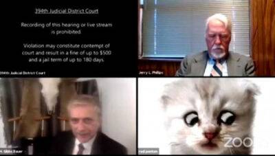Адвокату на заседании суда пришлось защищаться, доказывая, что он не котик - porosenka.net