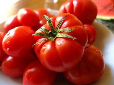 Как хранить потрескавшиеся помидоры в холодильнике: простой способ, который защитит их от плесени - nashsovetik.ru