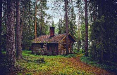 7 серьезных минусов, из-за которых многим не захочется иметь домик в лесу - lublusebya.ru