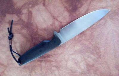 Для чего у некоторых ножей имеется выемка у самой рукояти - chert-poberi.ru - Италия