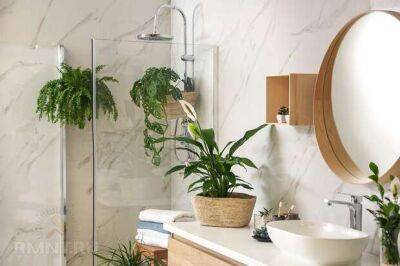 Растения в ванной комнате и душевой: зачем и какие - lublusebya.ru