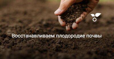 Восстанавливаем плодородие почвы - sadogorod.club
