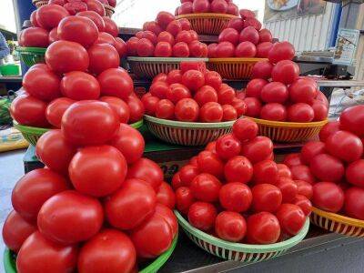 Игорь Зур - Как собрать семена томатов для посадки на будущий год и не остаться потом без урожая: должен знать каждый дачник - sadogorod.club